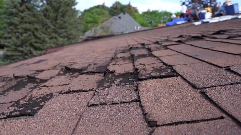 Best Roofing for New Construction  in Branson, MO