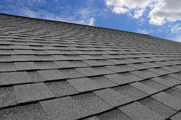 Best Roof Ventilation Installation  in Branson, MO