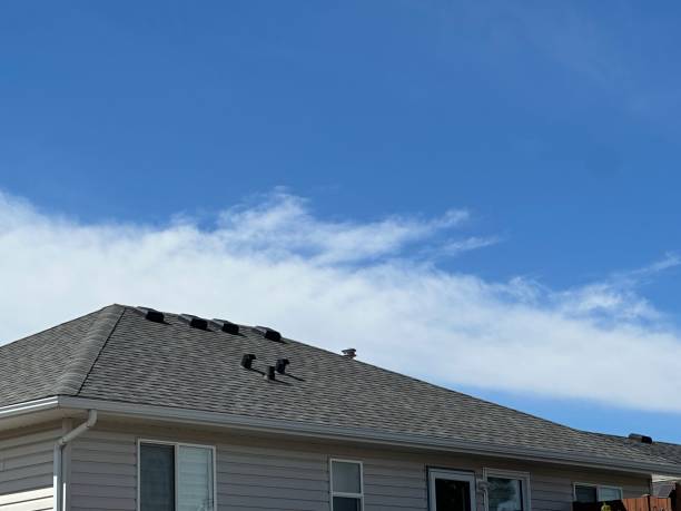 Best Metal Roofing Installation  in Branson, MO