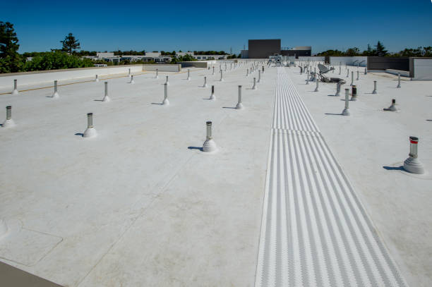 Best Emergency Roof Repair Services  in Branson, MO